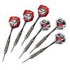 Fat Cat Twin Pack Steel Tip