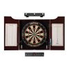 Viper Hudson All-in-One Dart Center, Throw Line Light & Shadow Buster Dartboard Light Bundle