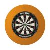 Viper Guardian Dartboard Surround