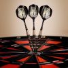 Elkadart Lone Wolf Soft Tip Darts Silver With Knurling