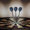 Elkadart Rhino 80% Tungsten Steel Tip Darts