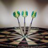 Elkadart Prism Ringed Silver Steel Tip Darts